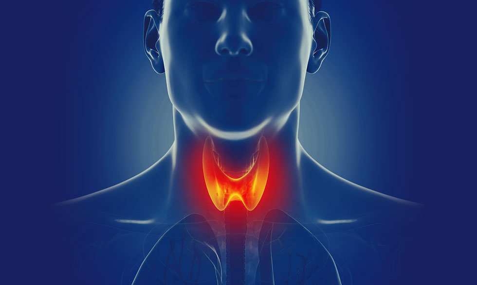How Does Thyroid Affect The Body?