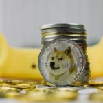 How to buy dogecoin for long term holding or short term trading